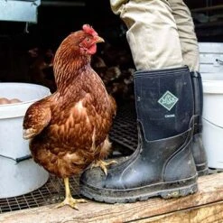 Muck Boot Company Muck Men's Chore Classic Mid Black Pull On Rubber Boots CHM-000A-BL -Ariat Boot Shop CHM000A lifestyle LARGE 26f95ff6 592d 4d58 b0c0 33aad30728d9